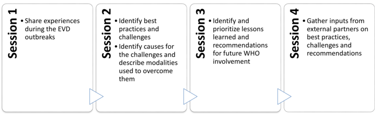 Objectives of the online workshop