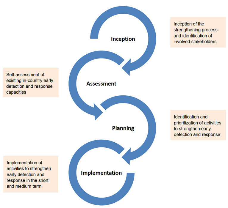Overview of the proposed strategy