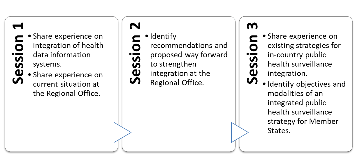 Objectives of the online workshop
